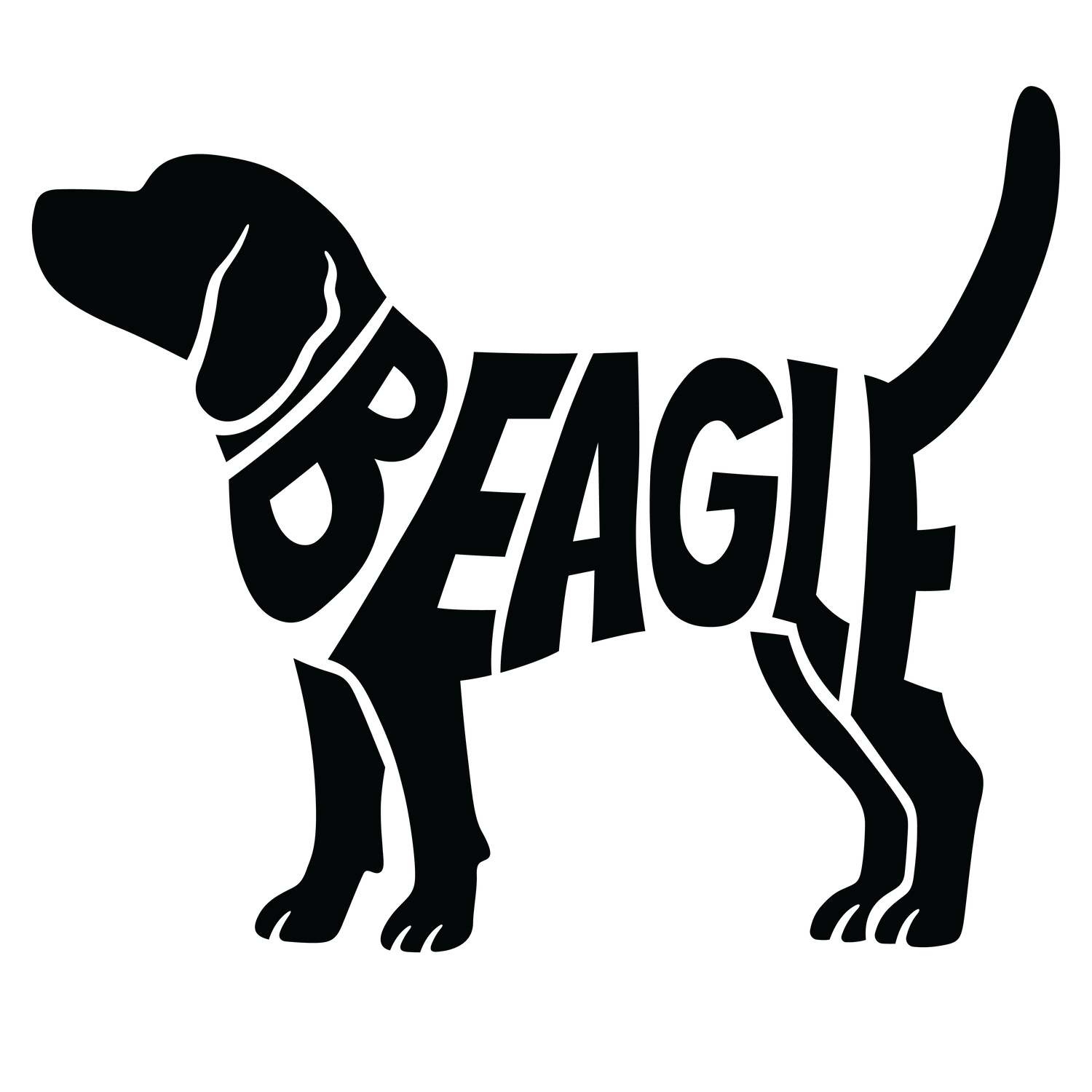 Beagle