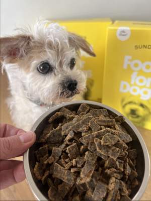 Air Dried Dog Food - Beef