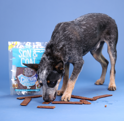 Jerky Strips Dog Treat Bundles